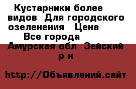 Кустарники более 100 видов. Для городского озеленения › Цена ­ 70 - Все города  »    . Амурская обл.,Зейский р-н